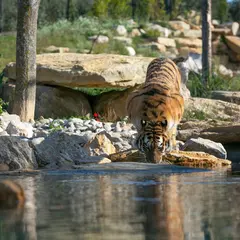 Zoo de la Barben