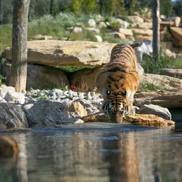 Zoo de la Barben