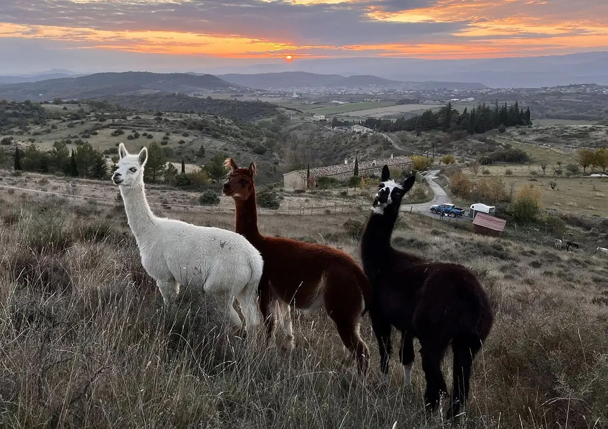 Parc animalier de Lussas