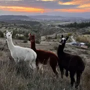 Parc animalier de Lussas