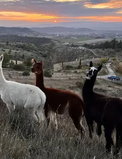 Parc animalier de Lussas