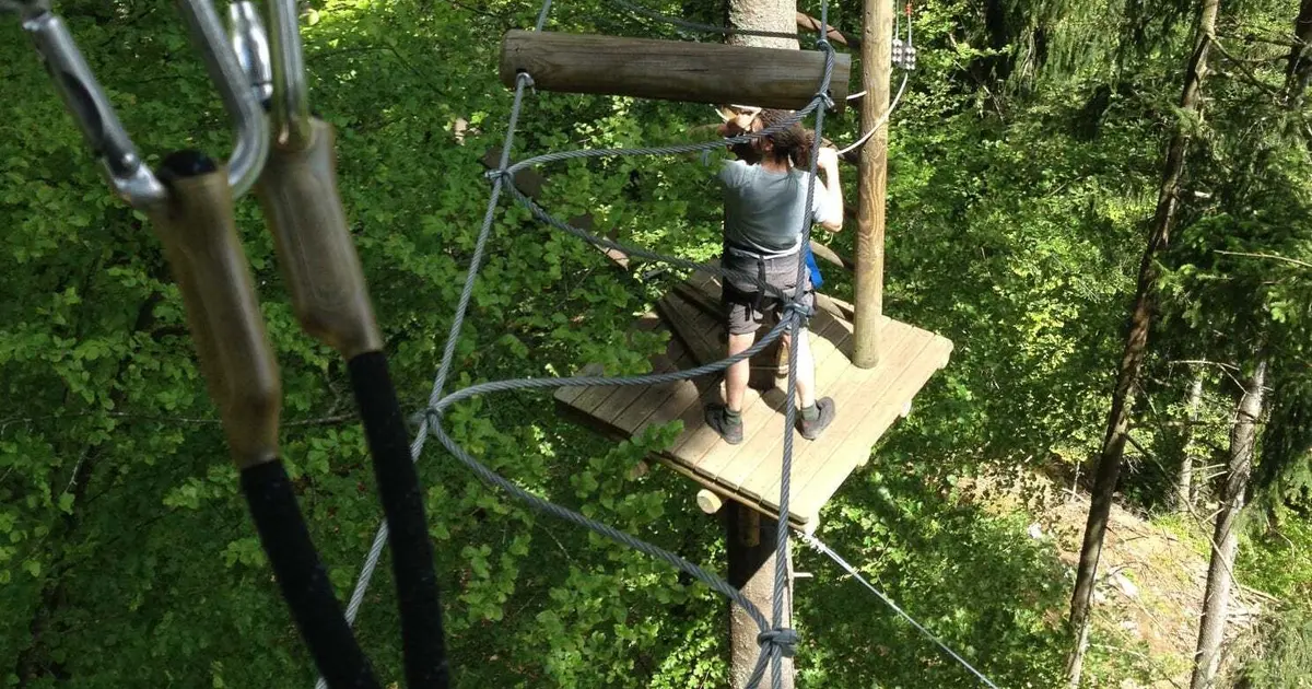 Prêt(e) à grimper dans les arbres au Parc Arbre Aventure ?