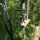 Prêt(e) à grimper dans les arbres au Parc Arbre Aventure&nbsp;? &copy; Facebook.com/ParcArbreAventureKruth/