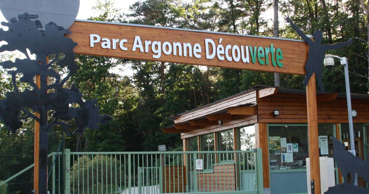 Parc Argonne Découverte des activités pour faire le plein de nature