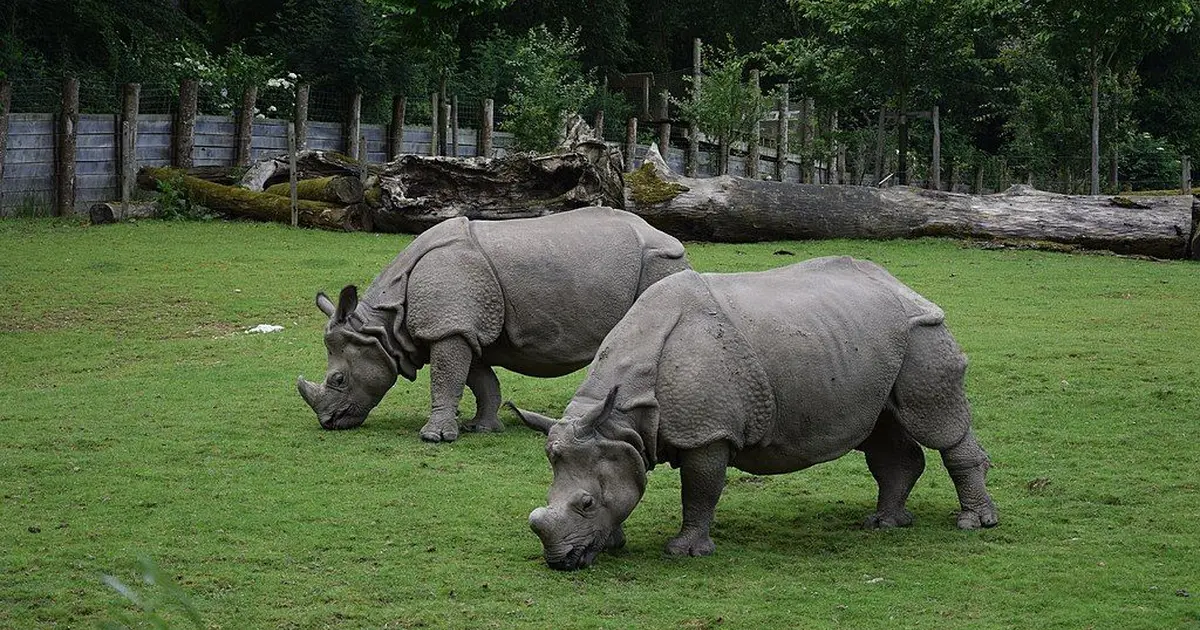 Parc de Branféré