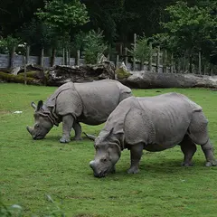 Parc de Branféré