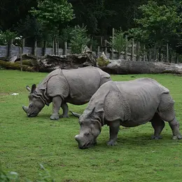 Parc de Branféré