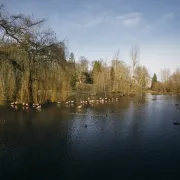 Parc de Clères