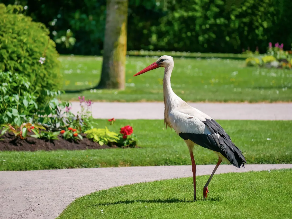 Parc de l'Étoile