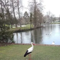 Avec un peu de chance vous pourrez croiser des cigognes au Parc de l'Orangerie &copy; Sylvie Morieux