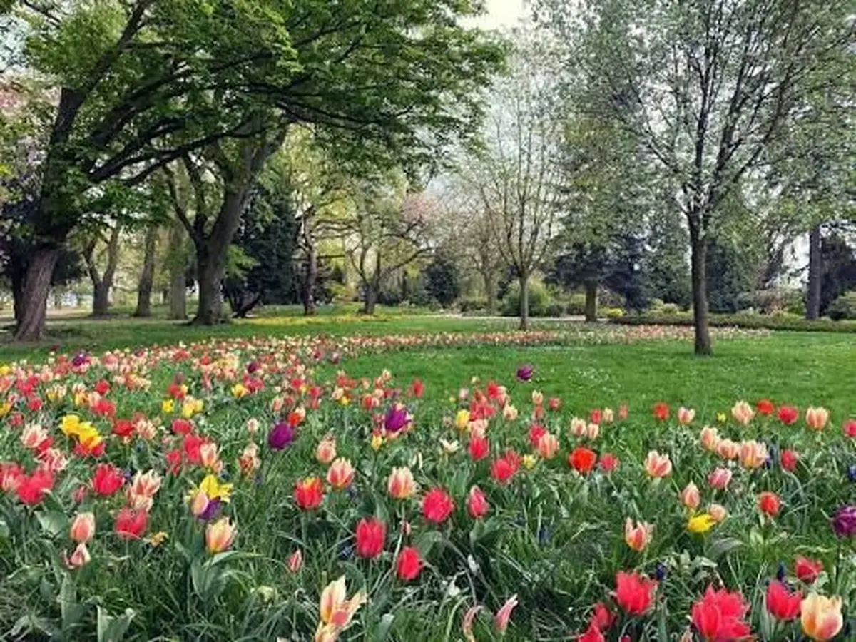 Parc de la Bergerie