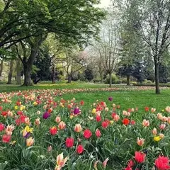 Parc de la Bergerie