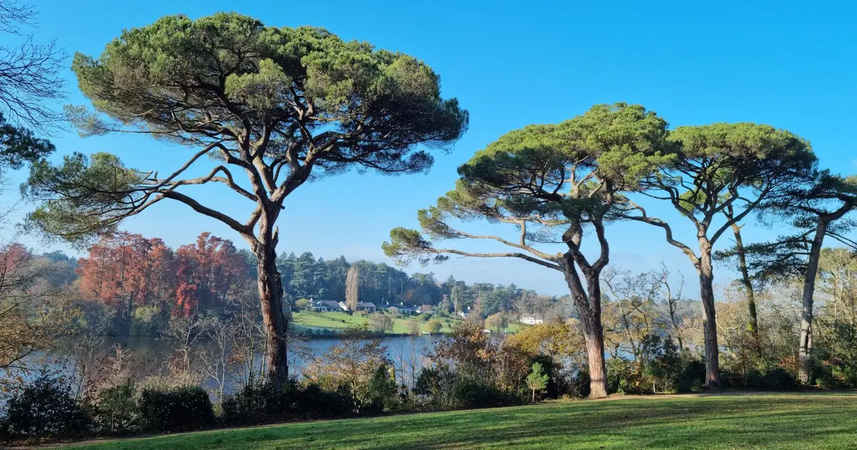Parc de la Chantrerie