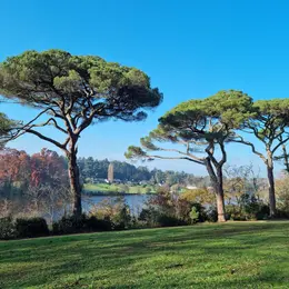 Parc de la Chantrerie
