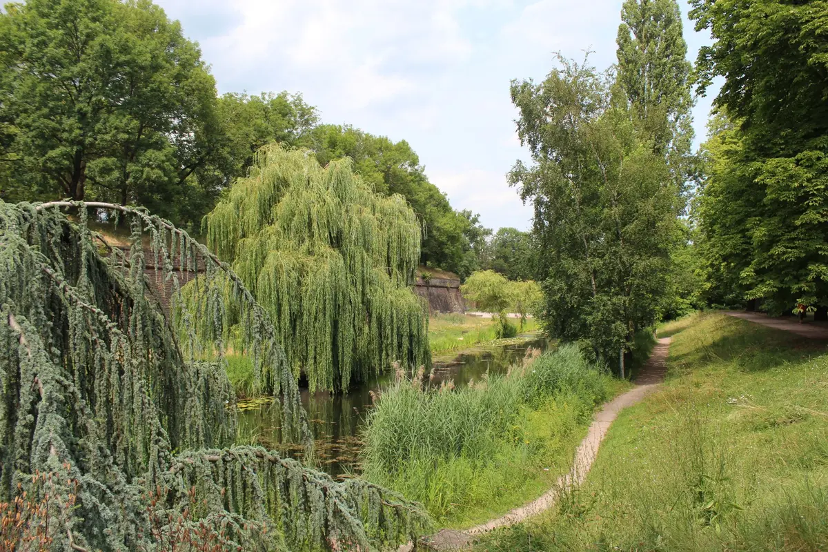 Nature luxuriante autour des fortifications de la citadelle