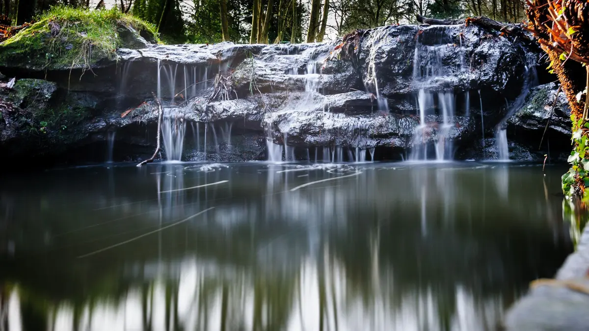 Parc de la Gaudinière