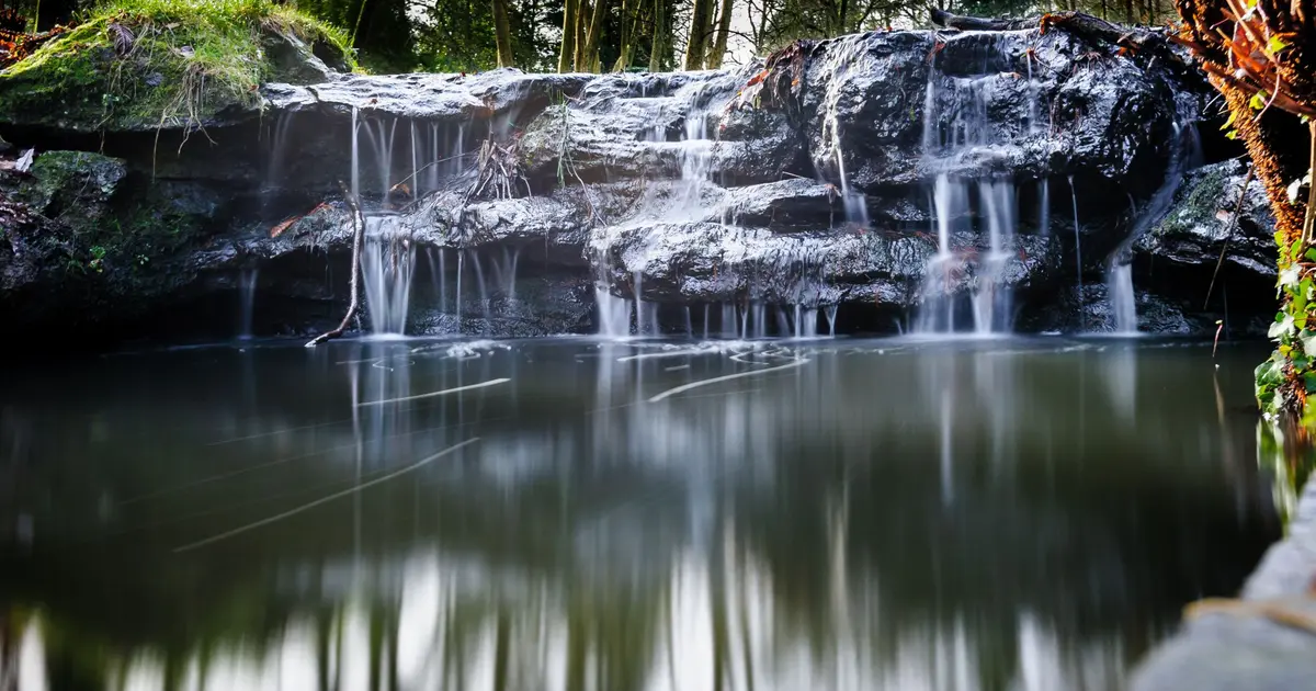 Parc de la Gaudinière