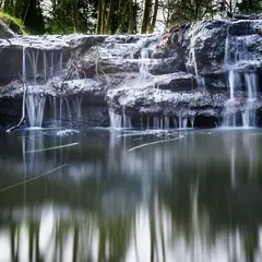 Parc de la Gaudinière
