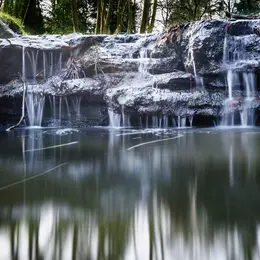 Parc de la Gaudinière