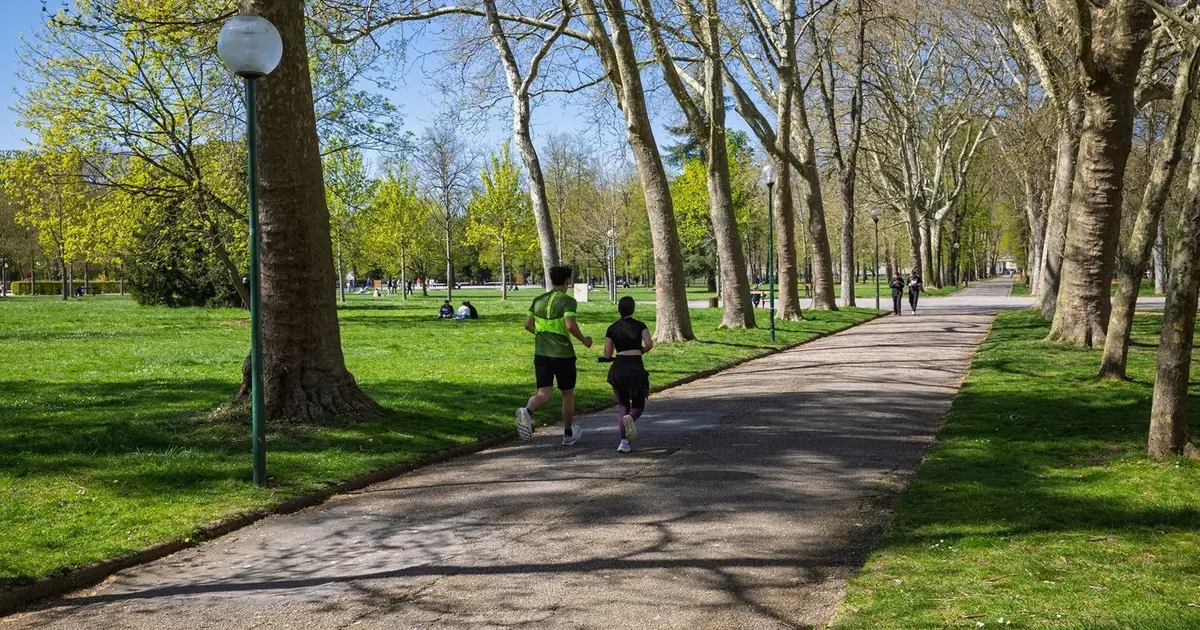 Parc de la Pépinière