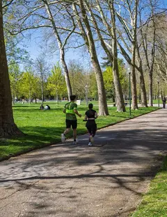 Parc de la Pépinière