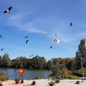 Parc des Oiseaux