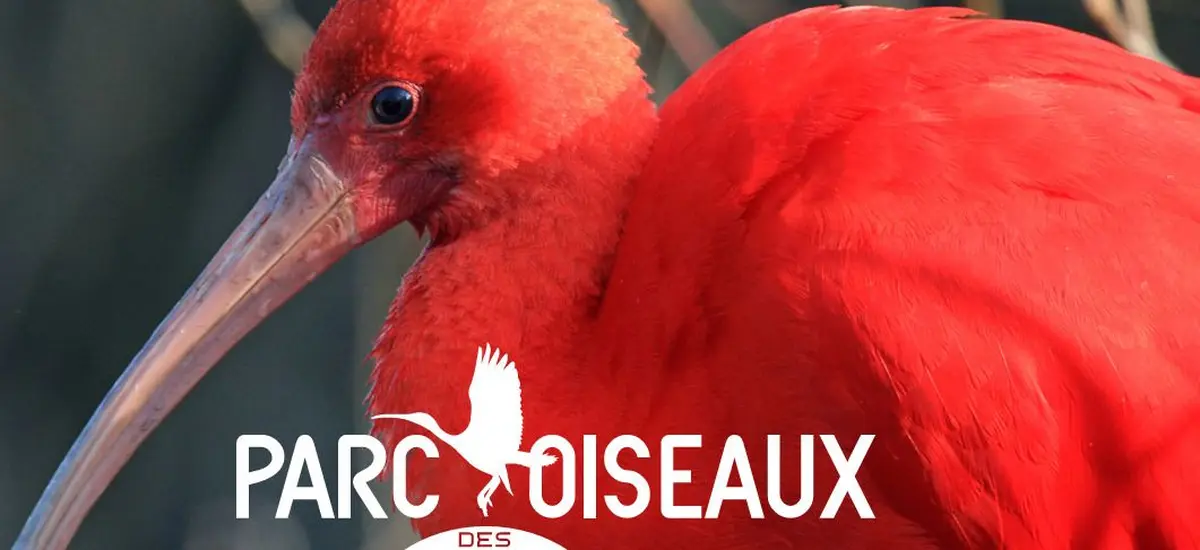 Parc des Oiseaux de Villars-les-Dombes : réouverture pour la saison 2026