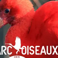 Parc des Oiseaux de Villars-les-Dombes : réouverture pour la saison 2026 DR