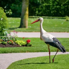 Parc du Glacis