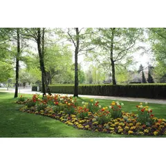 Parc du Près-la-Rose