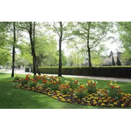 Parc du Près-la-Rose