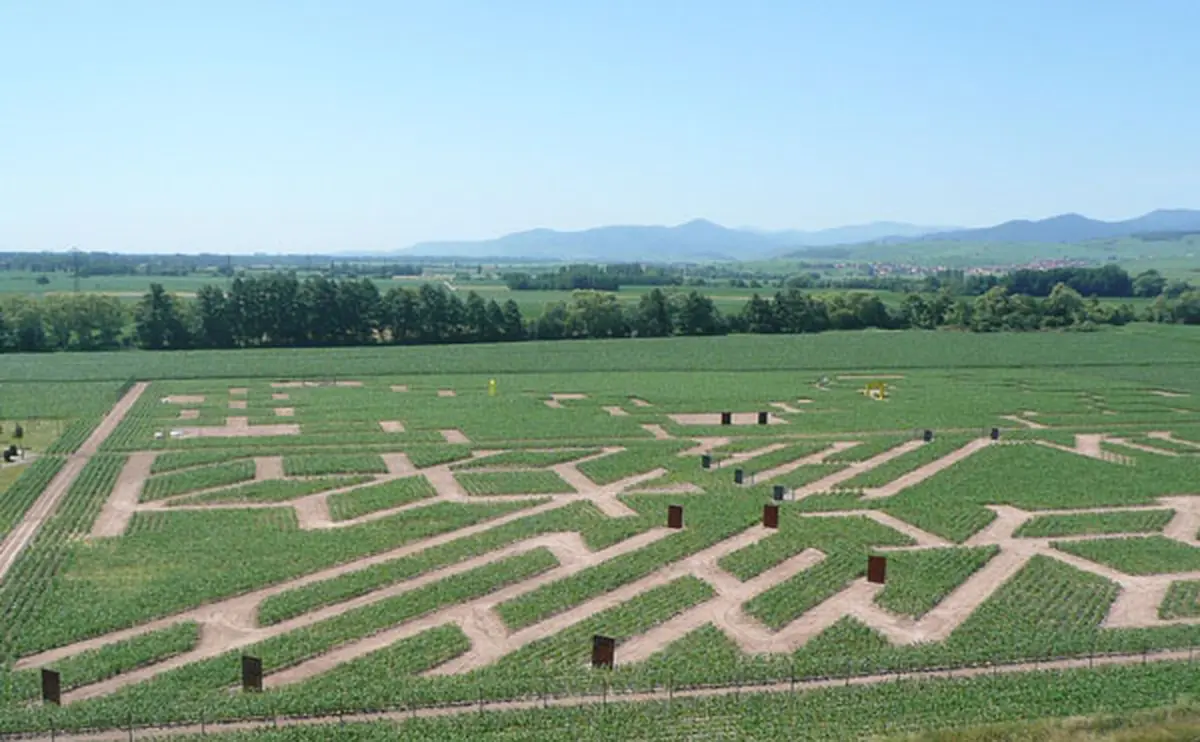 Parc Enigmatis : les Mondes irréels - Saison 2009