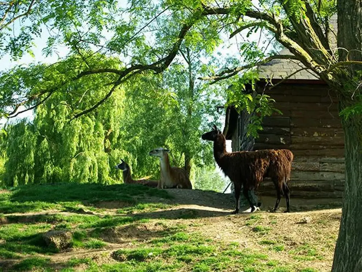 Parc Honoré de Balzac