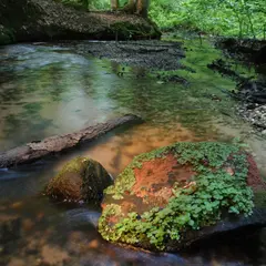 Parc naturel régional des Vosges du Nord