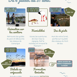 Parc Ornithologique – Programme des animations d'été