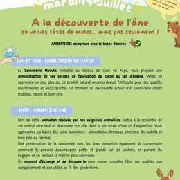 Parc'Ours - A la découverte de l'âne