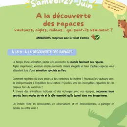 Parc'Ours - A la découverte des rapaces