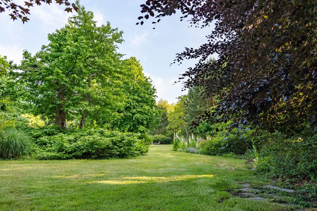 Parc Saint-Mansuy