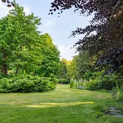 Parc Saint-Mansuy