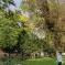 La richesse du parc Steinbach et ses arbres centenaires &copy; JDS