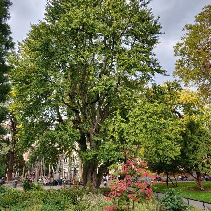 Le parc Steinbach en plein centre de Mulhouse