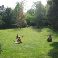 Le parc Steinbach, un lieu de d&eacute;tente en plein coeur de Mulhouse DR