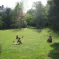 Le parc Steinbach, un lieu de d&eacute;tente en plein coeur de Mulhouse DR