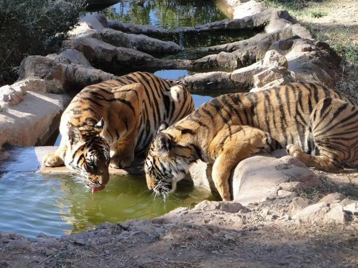 Parc Zoologique de Fréjus