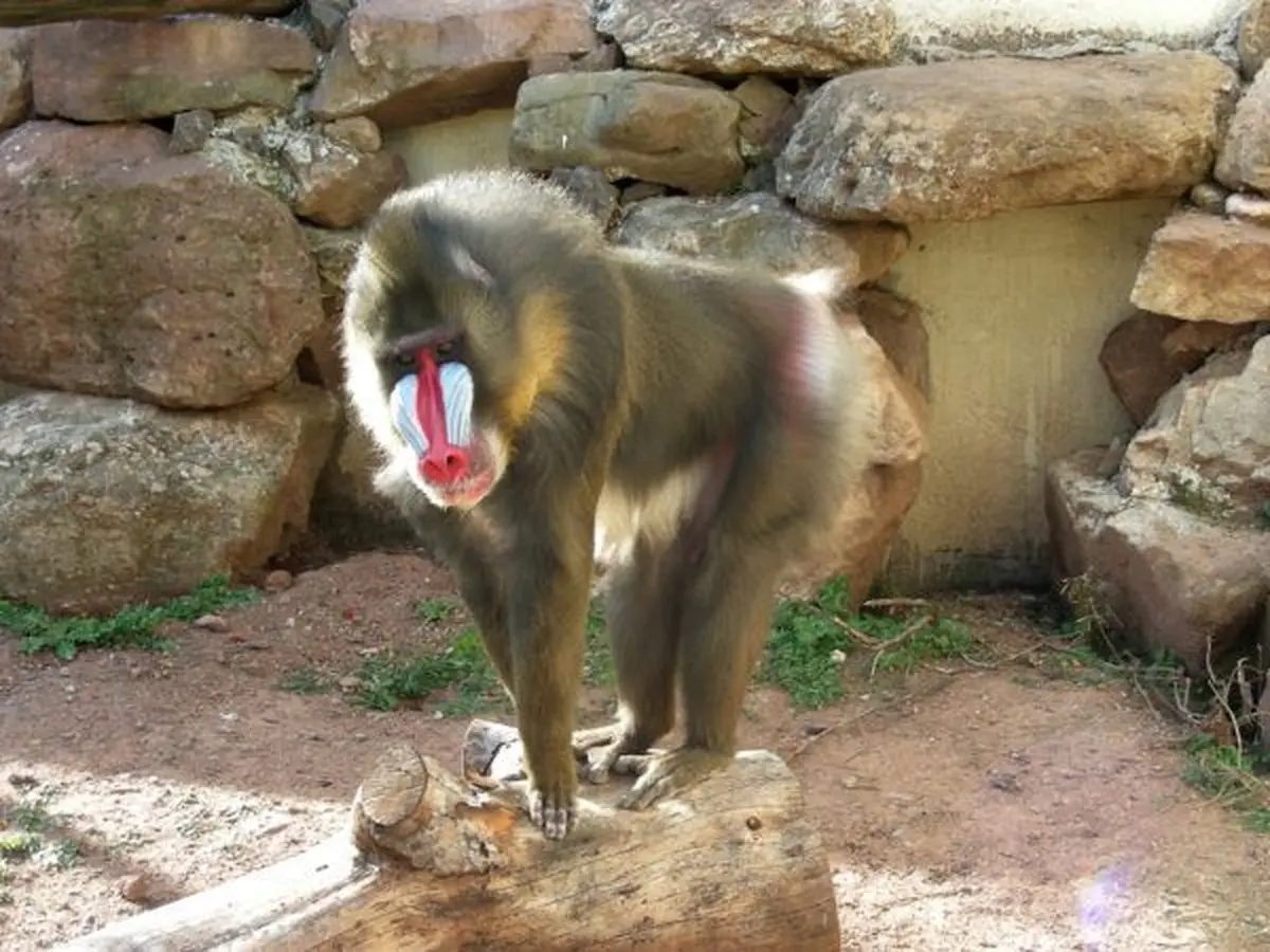 Parc Zoologique de Fréjus