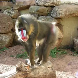 Parc Zoologique de Fréjus