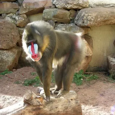 Parc Zoologique de Fréjus