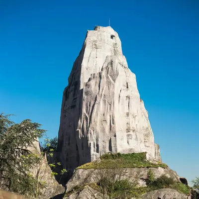 Parc Zoologique de Paris : Billet d'entrée