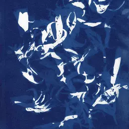 PARCC : atelier Cyanotype, avec Stéphanie Labé