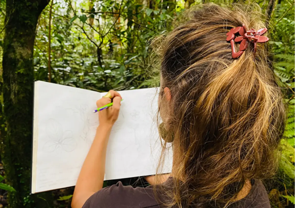 PARCC : atelier dessin, À la découverte du pin landais, avec Charlotte Druguet, illustratrice scientifique